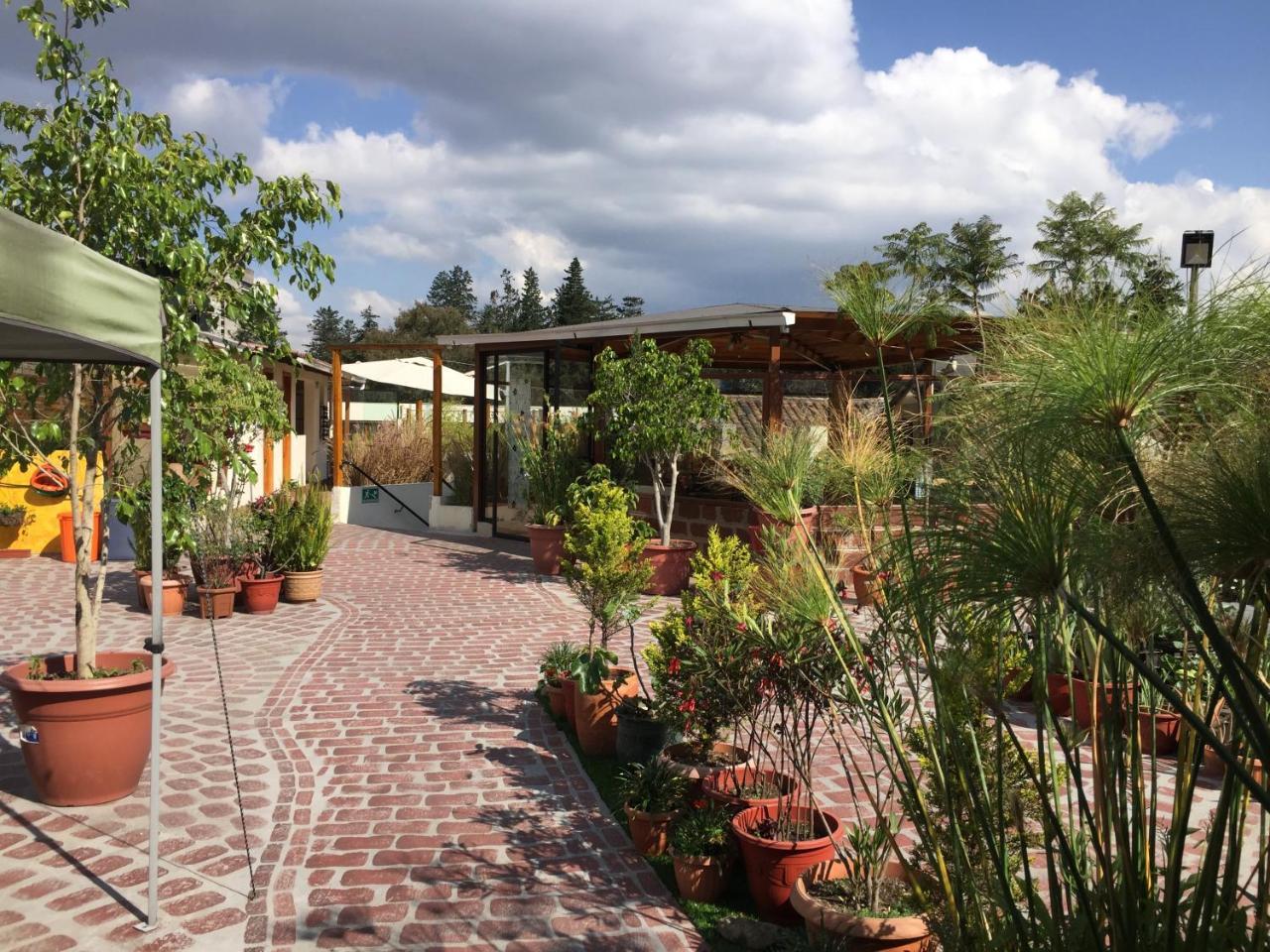 Хостел Quito Terrace Экстерьер фото